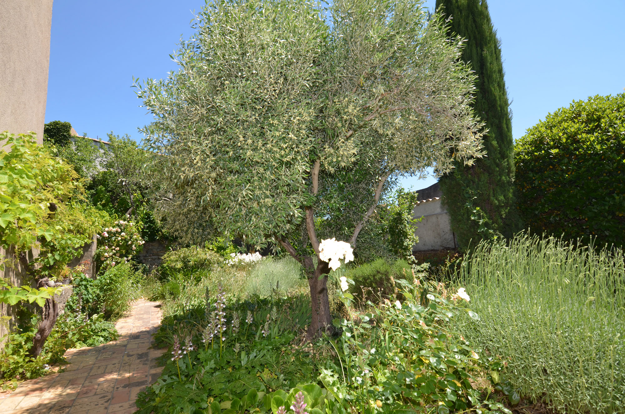1380CA_Garten.jpg