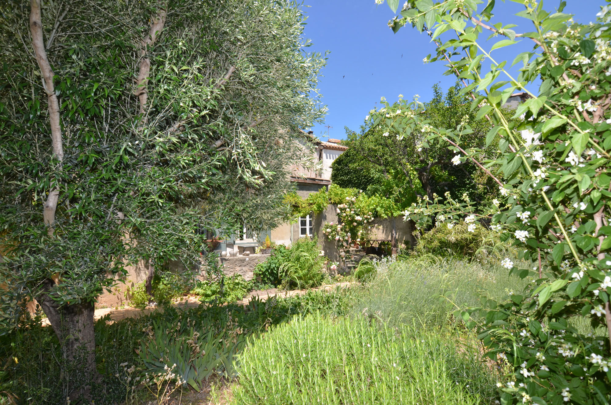 1380CA_jardin.jpg