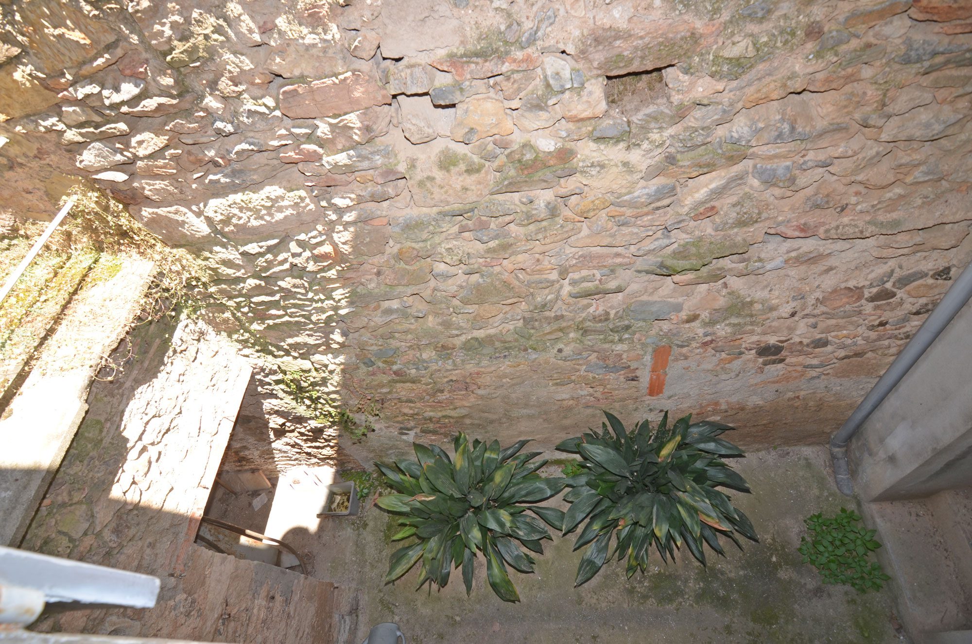 1381CA_puits_de_lumiere.jpg